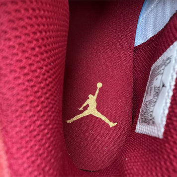 Air Jordan Legacy 312