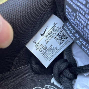 Nike Nardwuar SB Dunk Low Pro QS