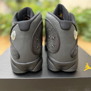 Air Jordan 13 Retro Wings