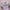 3/13/22pcs Professional Makeup Brushes Tools Set Make Up Brush Tools Kits for Eyeshadow Eyeliner Cosmetics Brushes Maquiagem