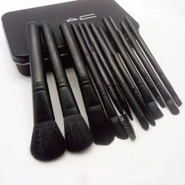 Makeup Brush Set 12 Piece with Storage Box Beauty Tools Eyeshadow Powder Brushes Travel Makeup Brushes for Beginners Women