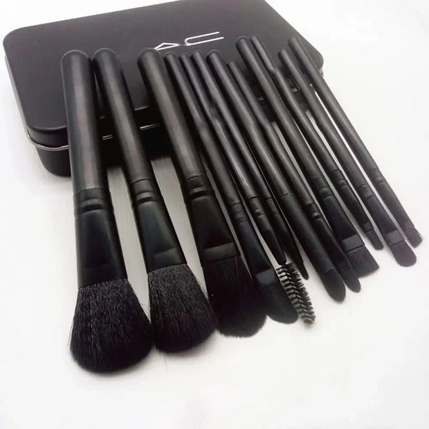 Makeup Brush Set 12 Piece with Storage Box Beauty Tools Eyeshadow Powder Brushes Travel Makeup Brushes for Beginners Women